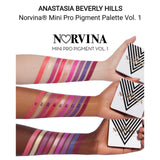 Norvina® Mini Pro Pigment Palette Vol. 1 Limited Edition